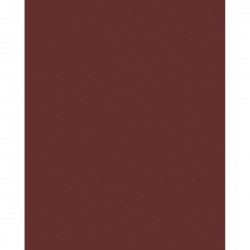 Laminuota medžio drožlių plokštė 9551 BS Oxide Red