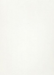 Laminuota medžio drožlių plokštė U8681 SU Brilliand White
